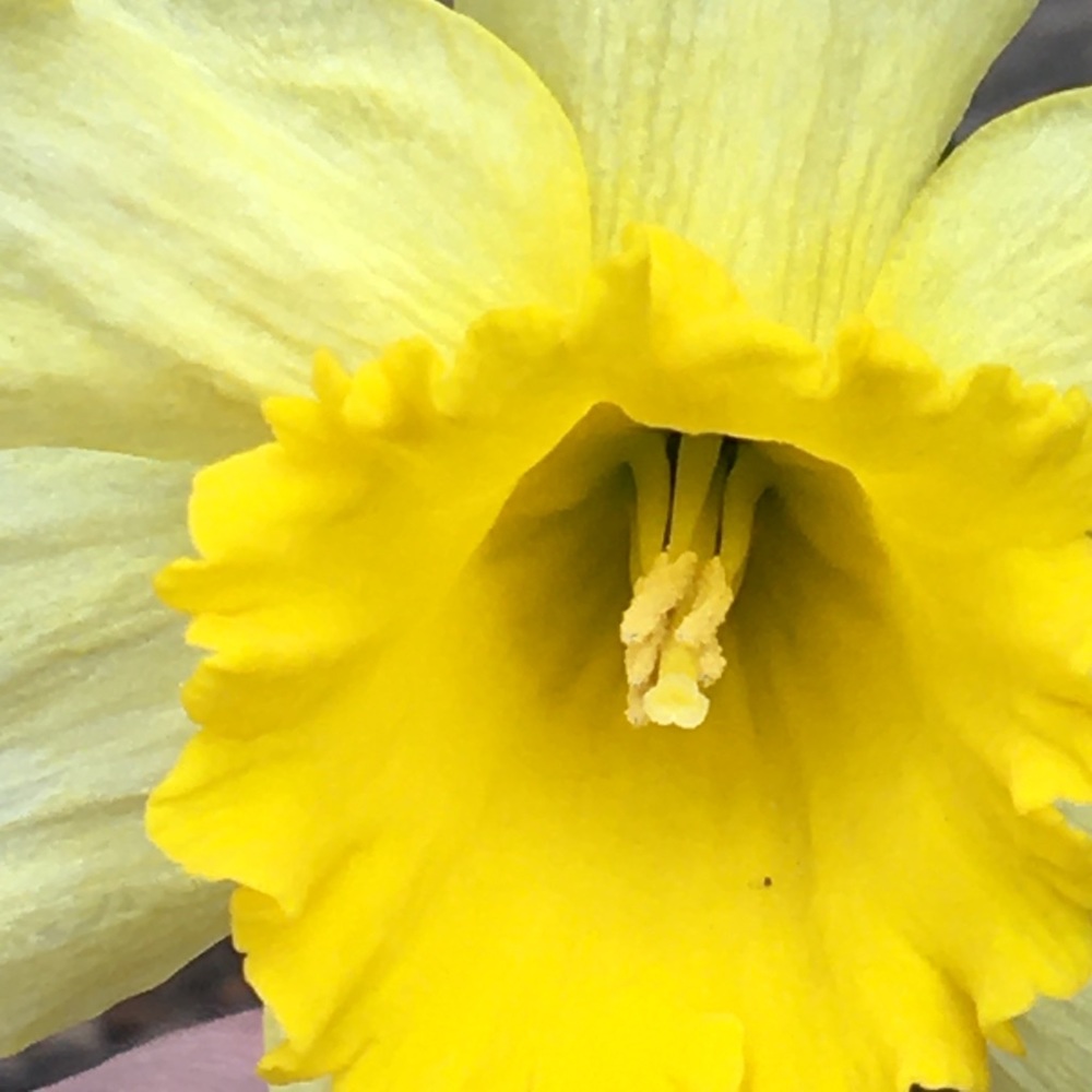 Meet your Posher, Eloise